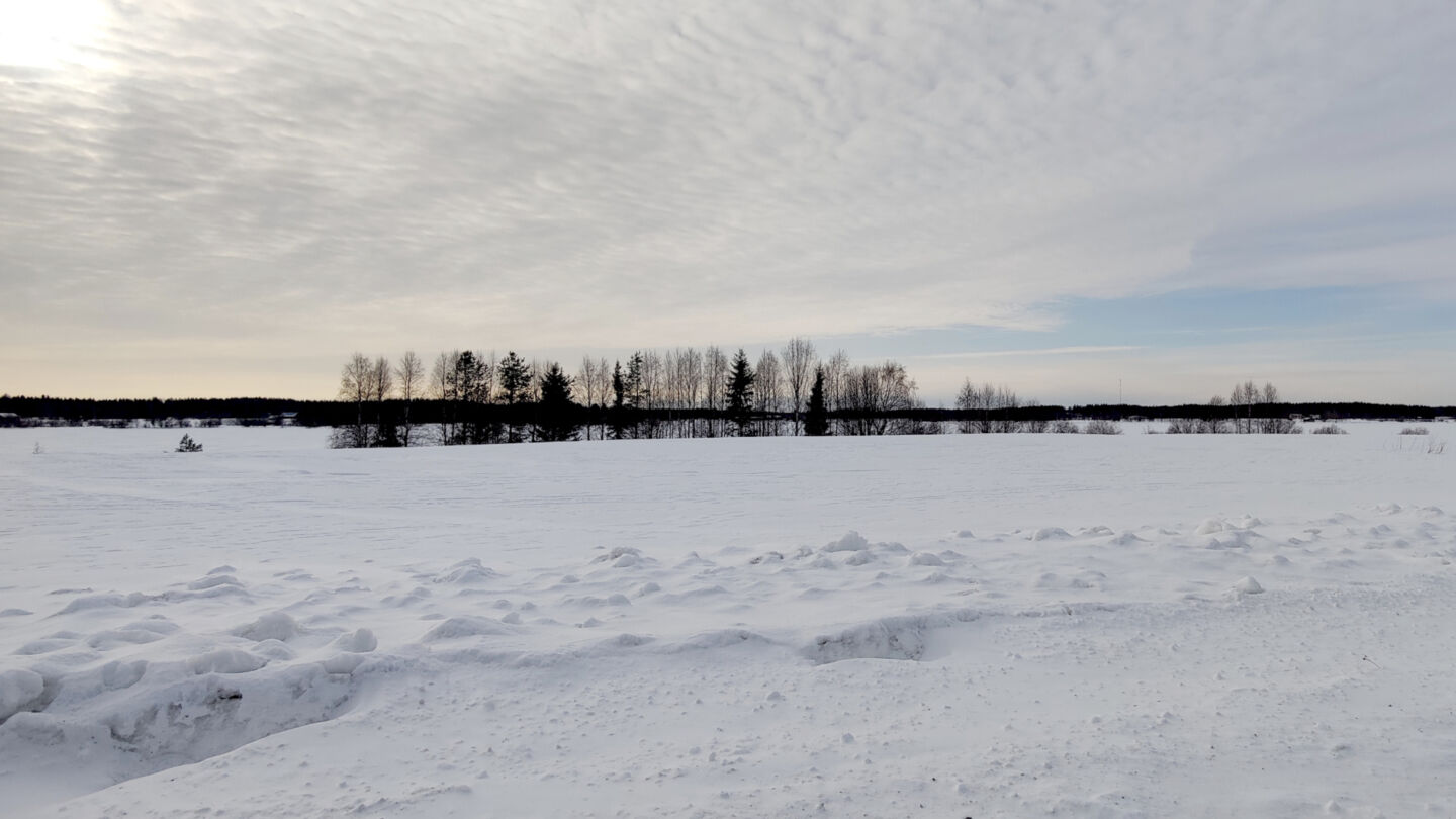 A winter view in Tervola, a riverside haven travel destination in Finnish Lapland