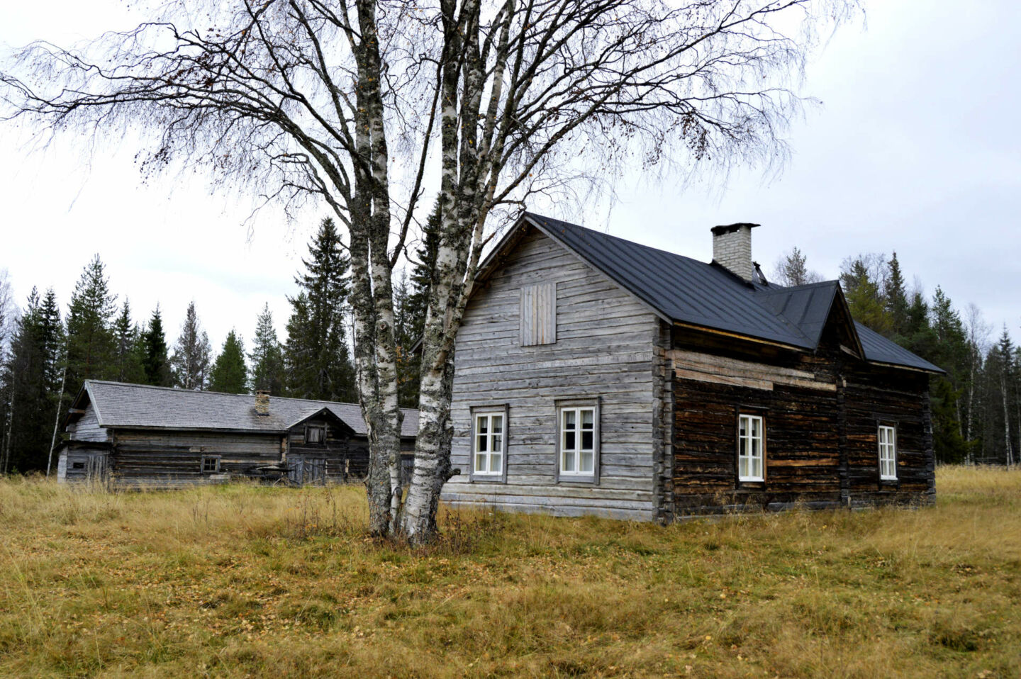 Arctic homestead at Tarkkala Wilderness Estate in Savukoski, a Finnish Lapland filming location