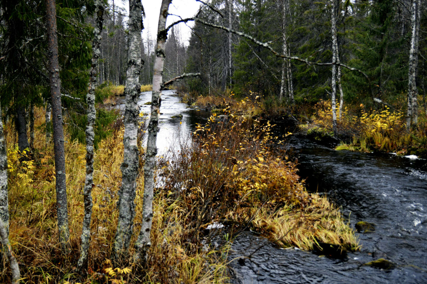 The river near the Arctic homestead at Tarkkala Wilderness Estate in Savukoski, a Finnish Lapland filming location